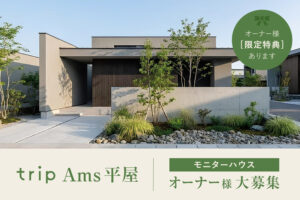 2026年限定モデル「trip Ams平屋」 登場